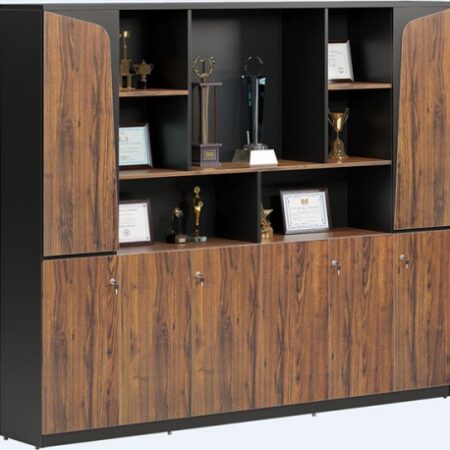 Tủ lãnh đạo BOSS20-DC